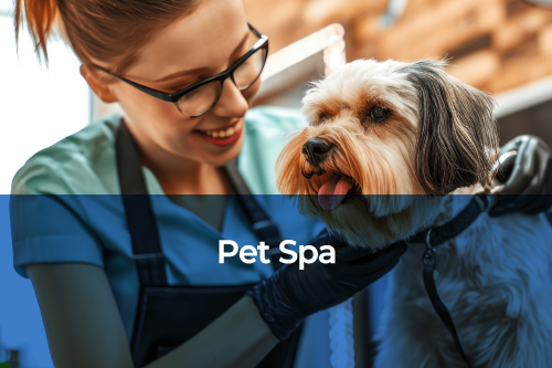 Edificio Huasco Pet Spa