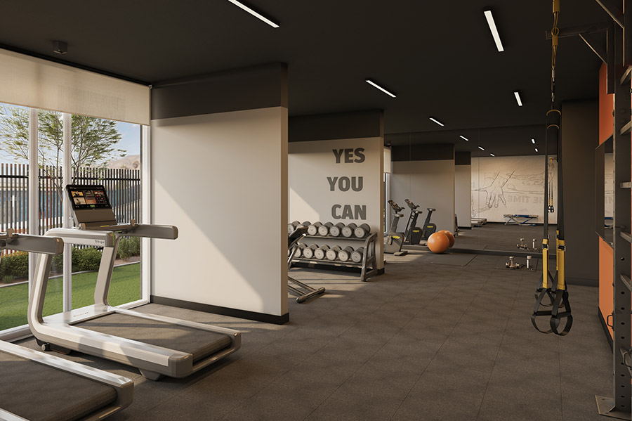 Gimnasio