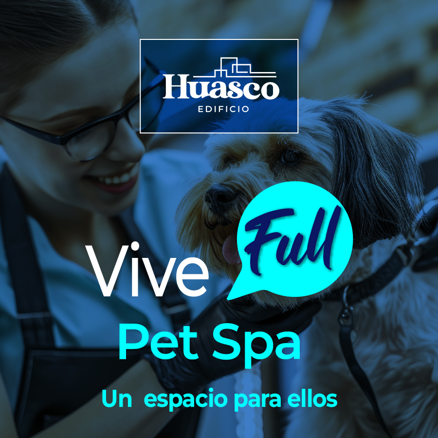 Costa Sur Inmobiliaria